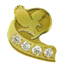 Odznak Diamantový Centurion Manažér FLP