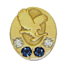 Odznak Diamantovo Zafírový Manažér FLP