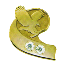 Odznak Dvojitý Diamantový Manažér FLP